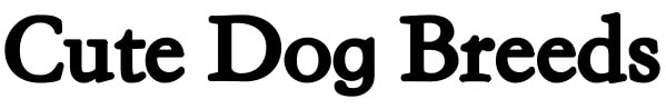 Dog Lover